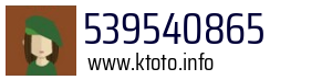 539540865
