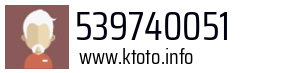 539740051