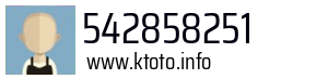 542858251