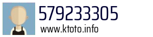 579233305
