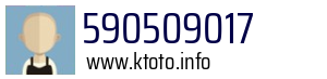 590509017