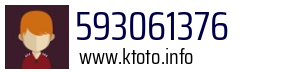 593061376
