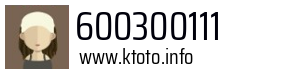 600300111