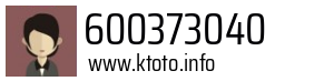 600373040