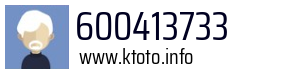 600413733