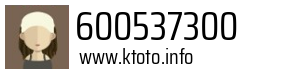 600537300