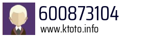 600873104