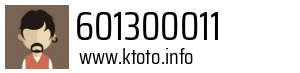 601300011
