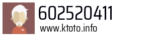 602520411