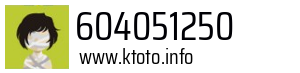 604051250