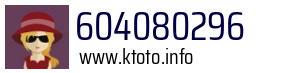 604080296