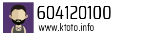 604120100