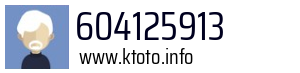 604125913