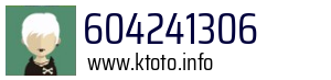 604241306