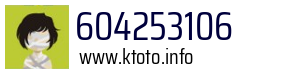 604253106