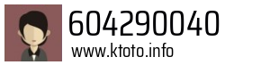 604290040