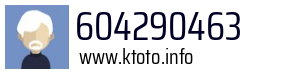 604290463
