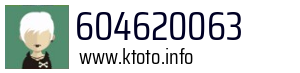604620063