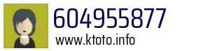 604955877