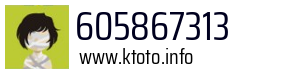 605867313