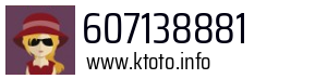 607138881