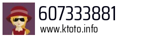 607333881