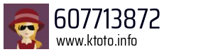 607713872