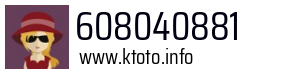 608040881