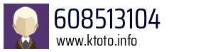 608513104