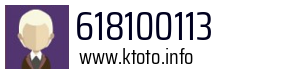 618100113