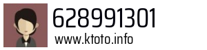 628991301