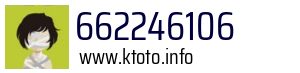 662246106