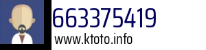 663375419