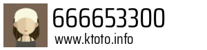 666653300
