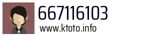 667116103