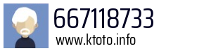 667118733