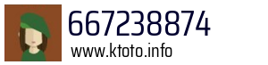 667238874