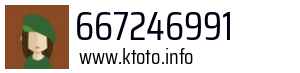 667246991