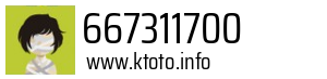 667311700