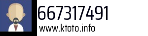 667317491