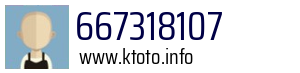 667318107