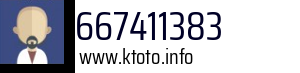 667411383