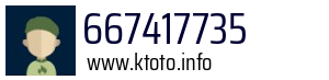 667417735