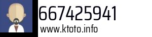 667425941