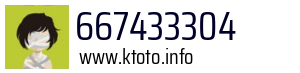 667433304