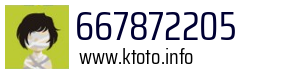 667872205