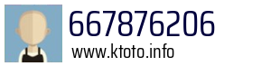 667876206