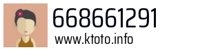 668661291