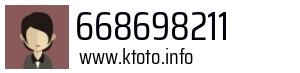 668698211