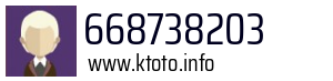 668738203